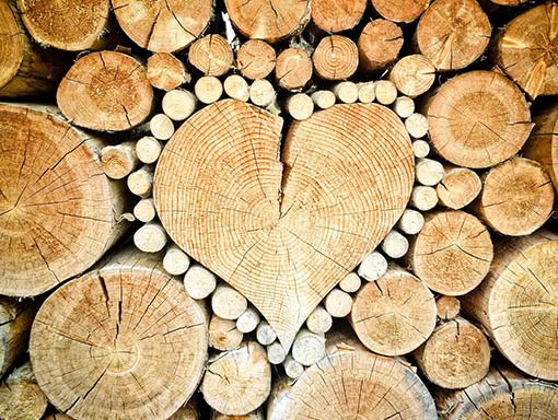 kaminholz brennholz holzscheite kaufen bei forstgut calmuth