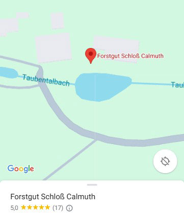 Google Maps Forstgut Schloss Calmuth